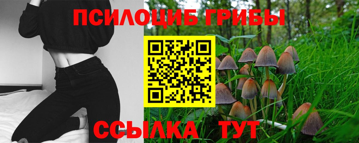 Галлюциногенные грибы Psilocybe Южно-Сахалинск